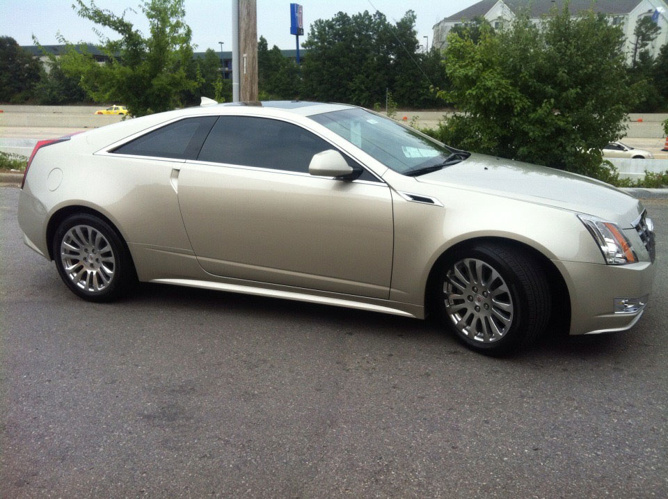 Automotive Tint